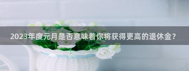 蓝狮娱乐游app：2023年度元月是否意味着你将获得更高的退休金？