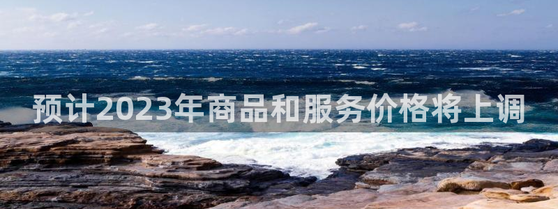 蓝狮平台官网：预计2023年商品和服务价格将上调