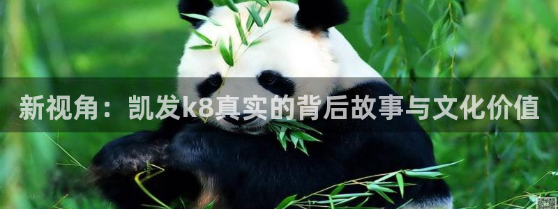 蓝狮娱乐注册平台：新视角：凯发k8真实的背后故事与文化价值