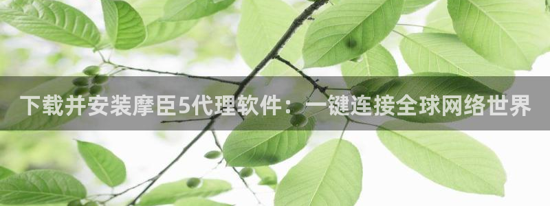 蓝狮娱乐分红代理计划：下载并安装摩臣5代理软件：一键连接全球网络世界
