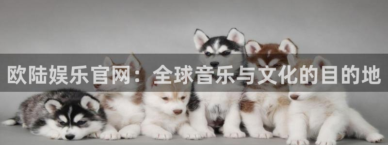 蓝狮娱乐免费注册：欧陆娱乐官网：全球音乐与文化的目的地