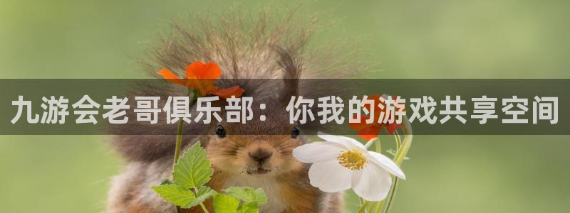 蓝狮娱乐下载入口：九游会老哥俱乐部：你我的游戏共享空间