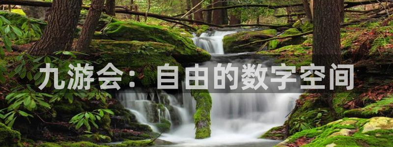 蓝狮娱乐下载链接：九游会：自由的数字空间