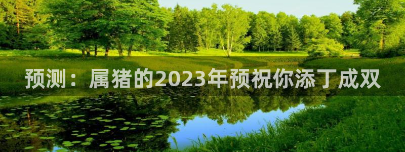 蓝狮娱乐充值怎么退款：预测：属猪的2023年预祝你添丁成双