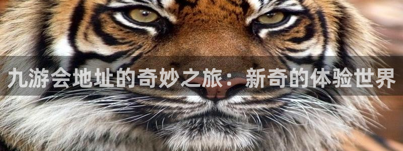 蓝狮注册登录地址：九游会地址的奇妙之旅：新奇的体验世界
