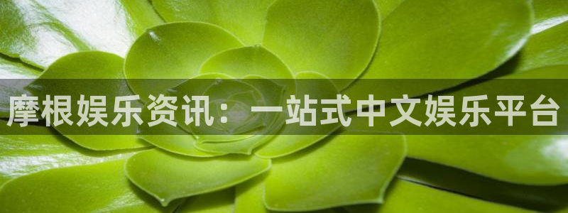 蓝狮在线app下载：摩根娱乐资讯：一站式中文娱乐平台