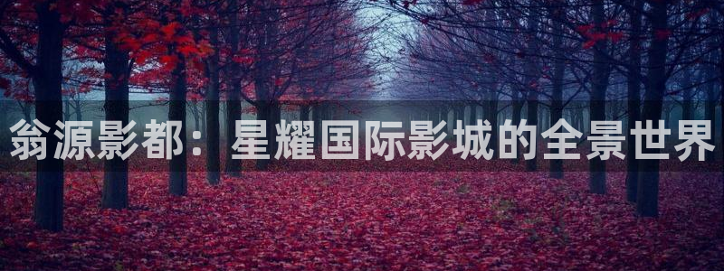 壹号平台app下载安装：翁源影都：星耀国际影城的全景世界