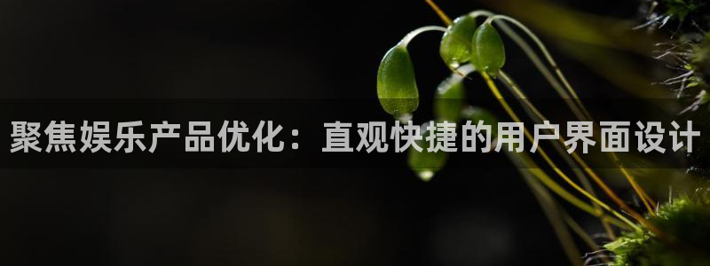 蓝狮娱乐app新版上线体验.游戏更新入口.中国：聚焦娱乐产品优化：直观快捷的用户界面设计