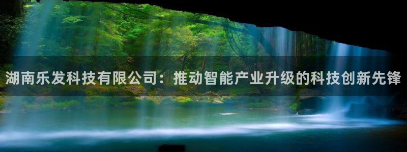 蓝狮娱乐平台官网入口：湖南乐发科技有限公司：推动智能产业升级的科技创新先锋