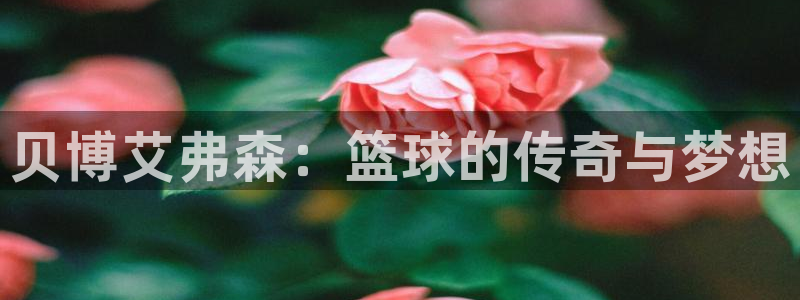 蓝狮娱乐.ccmpc正版官网版下载：贝博艾弗森：篮球的传奇与梦想
