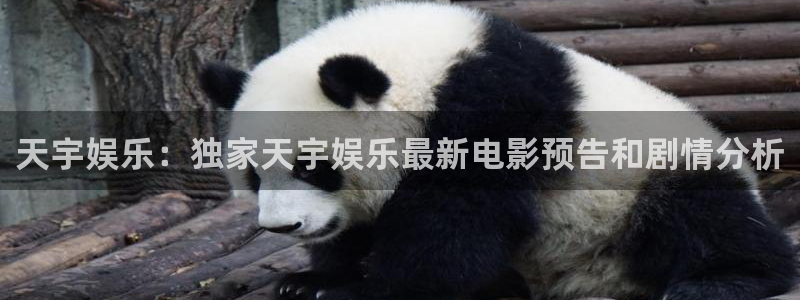 蓝狮娱乐电子游戏：天宇娱乐：独家天宇娱乐最新电影预告和剧情分析