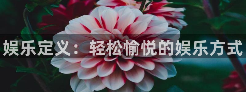蓝狮注册登录地址：娱乐定义：轻松愉悦的娱乐方式