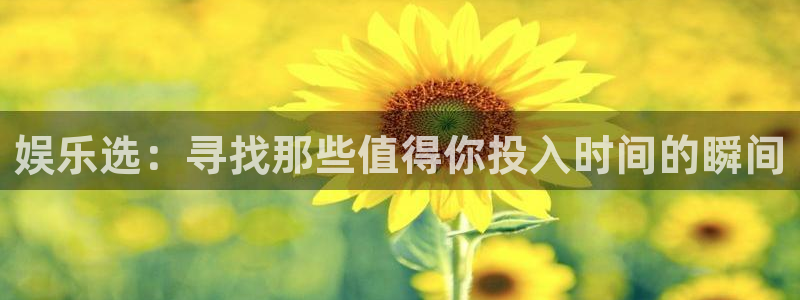 蓝狮在线平台怎么样：娱乐选：寻找那些值得你投入时间的瞬间