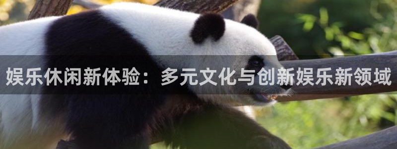 蓝狮在线注册地址：娱乐休闲新体验：多元文化与创新娱乐新领域