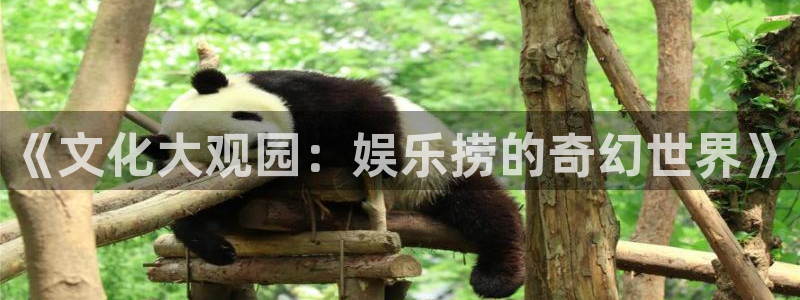 蓝狮在线平台代理注册：《文化大观园：娱乐捞的奇幻世界》