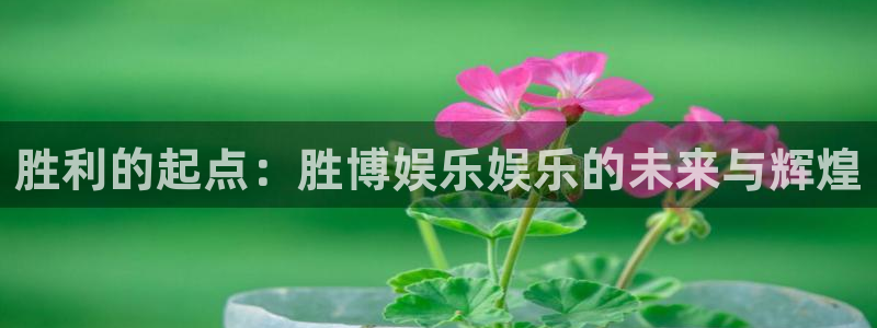 苹果版蓝狮娱乐下载安装：胜利的起点：胜博娱乐娱乐的未来与辉煌