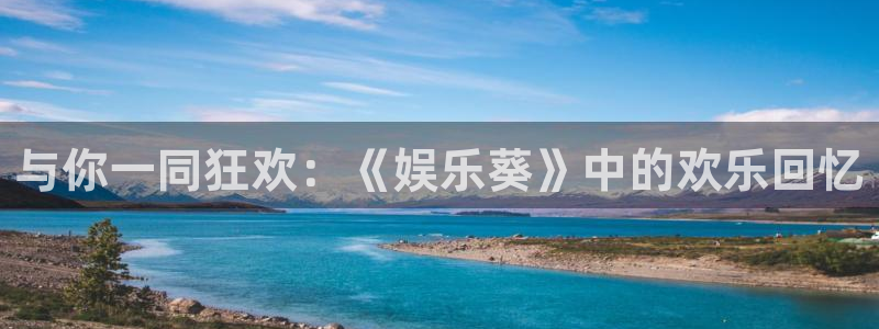 蓝狮娱乐app下载安装最新版：与你一同狂欢：《娱乐葵》中的欢乐回忆