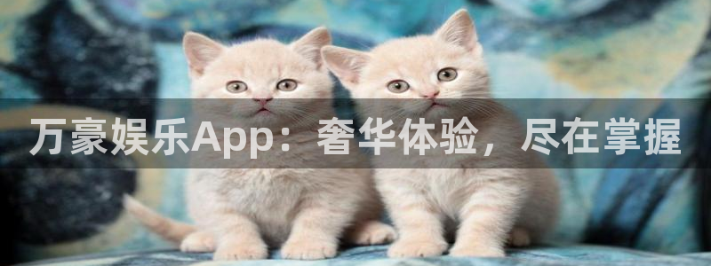 蓝狮娱乐官网版：万豪娱乐App：奢华体验，尽在掌握