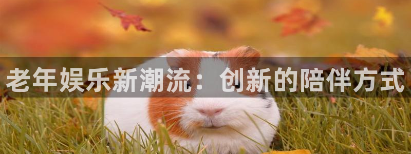 南宫蓝狮娱乐官网下载链接：老年娱乐新潮流：创新的陪伴方式