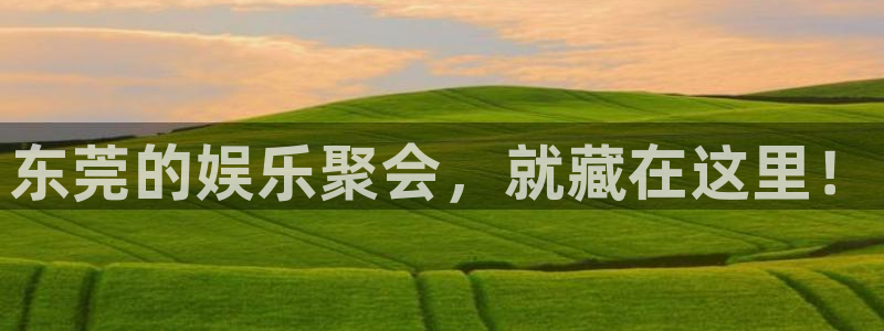 蓝狮娱乐app最新版：东莞的娱乐聚会，就藏在这里！