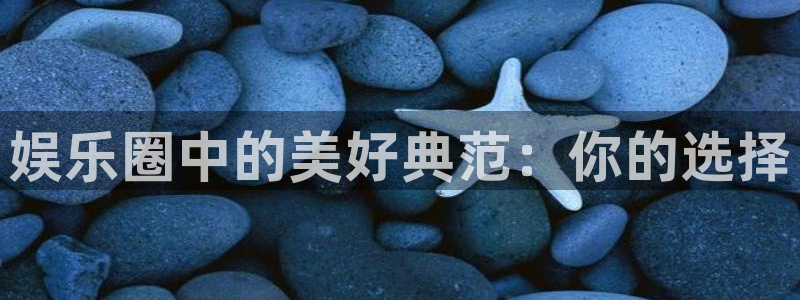 蓝狮娱乐平台官方网站：娱乐圈中的美好典范：你的选择