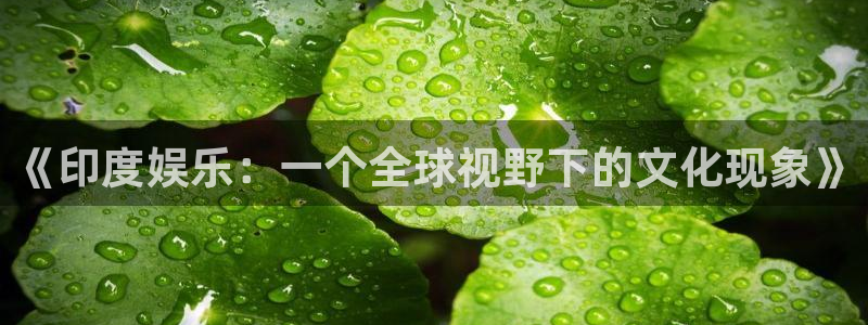 蓝狮娱乐下载：《印度娱乐：一个全球视野下的文化现象》