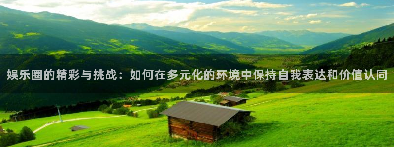 蓝狮娱乐强制退款流程详解：娱乐圈的精彩与挑战：如何在多元化的环境中保持自我表达和价值认同