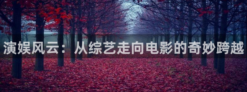 下载蓝狮娱乐app：演娱风云：从综艺走向电影的奇妙跨越