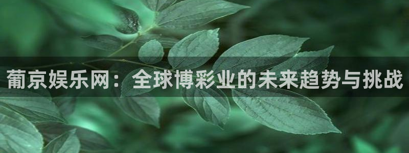 蓝狮登录入口注册