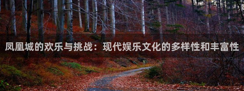 蓝狮娱乐娱乐：凤凰城的欢乐与挑战：现代娱乐文化的多样性和丰富性