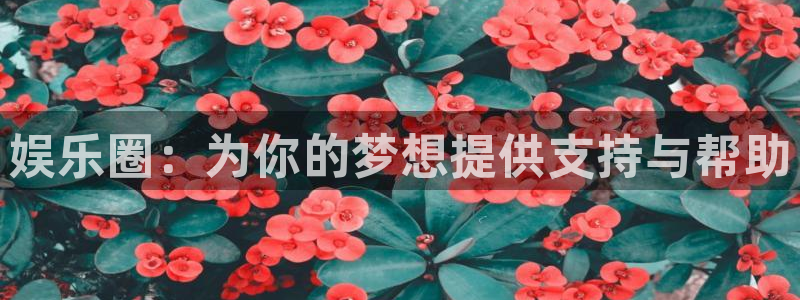 蓝狮娱乐网页版登：娱乐圈：为你的梦想提供支持与帮助