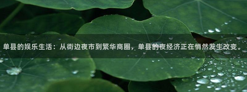蓝狮娱乐注册网站：单县的娱乐生活：从街边夜市到繁华商圈，单县的夜经济正在悄然发生改变。