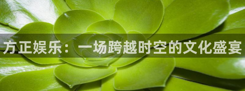 蓝狮娱乐电玩网官网入口：方正娱乐：一场跨越时空的文化盛宴