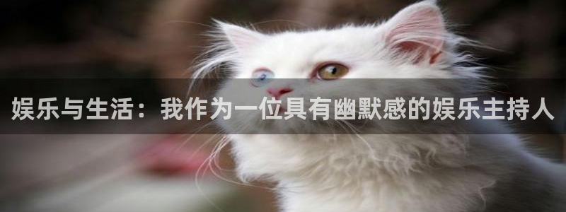 蓝狮娱乐平台注册：娱乐与生活：我作为一位具有幽默感的娱乐主持人
