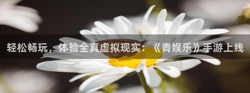 蓝狮娱乐网站平台登录