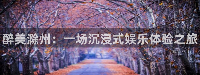 壹号官网app下载安装：醉美滁州：一场沉浸式娱乐体验之旅
