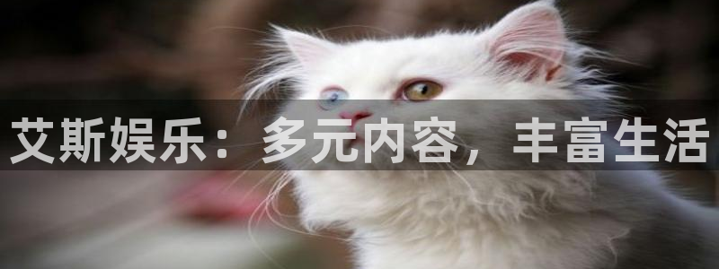 蓝狮娱乐 - ng大舞台,有梦你就来：艾斯娱乐：多元内容，丰富生活